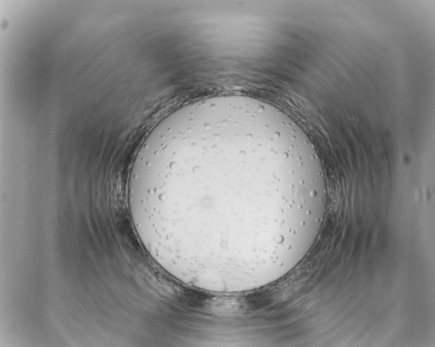 X0000086890418200704161011