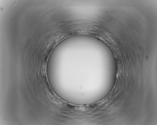 X0000086890419200704161011