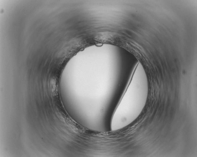 X0000086890420200704161011