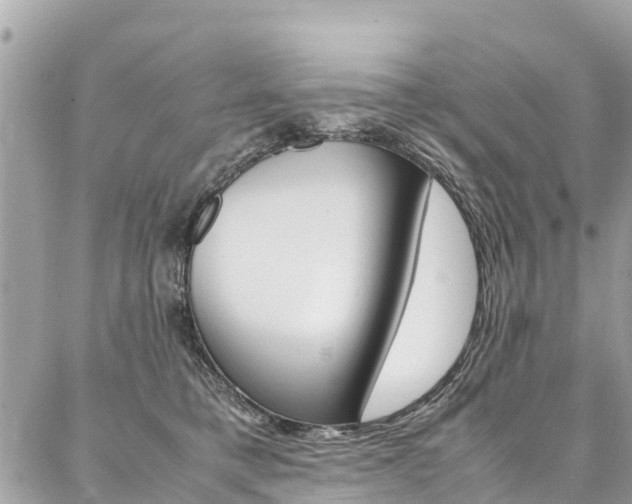 X0000086890421200704161011