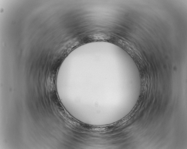 X0000086890422200704161010