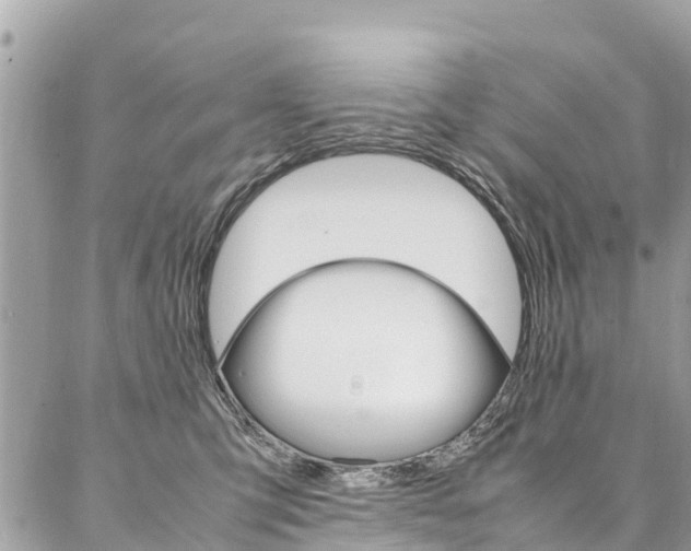 X0000086890423200704161010