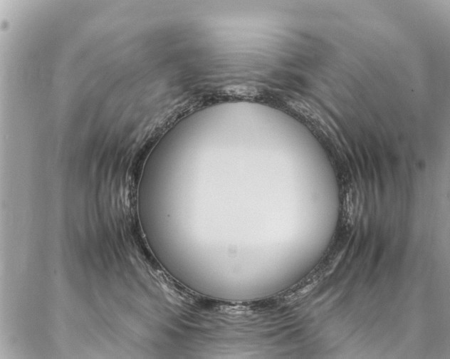 X0000086890424200704161010