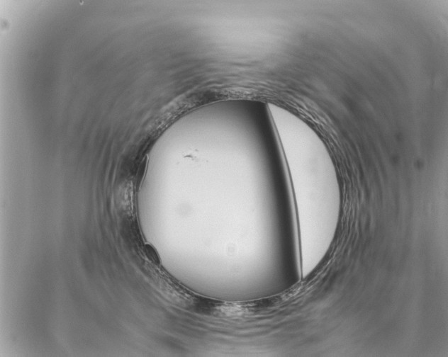 X0000086890425200704161010