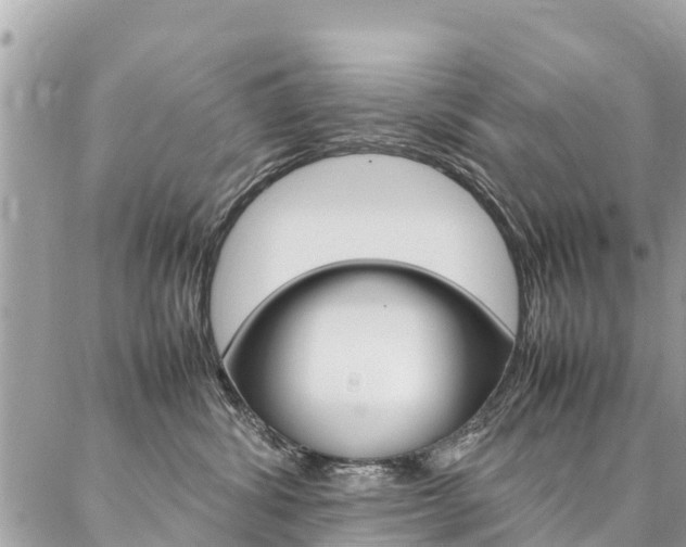 X0000086890428200704161010