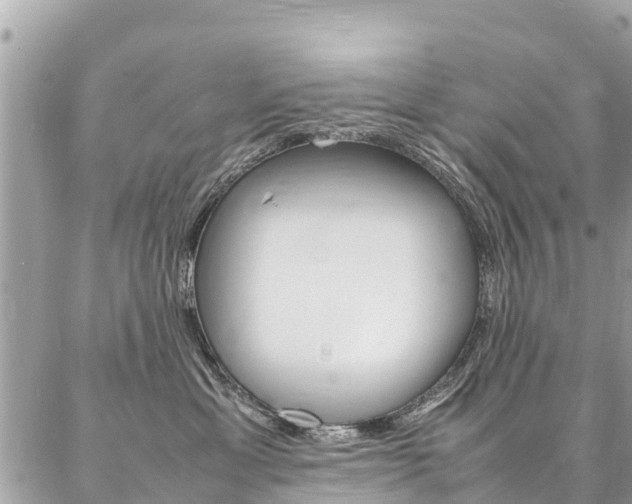 X0000086890429200704161010