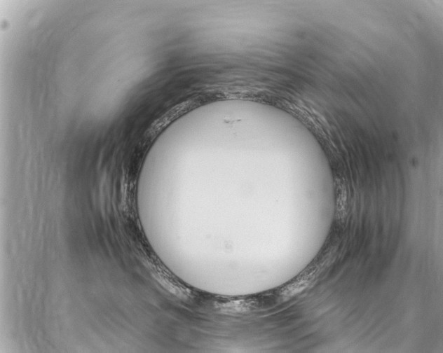 X0000086890430200704161010