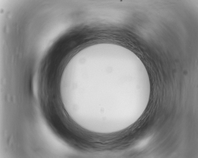 X0000086890431200704161010