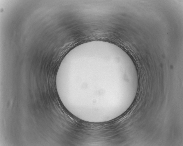 X0000086890432200704161010