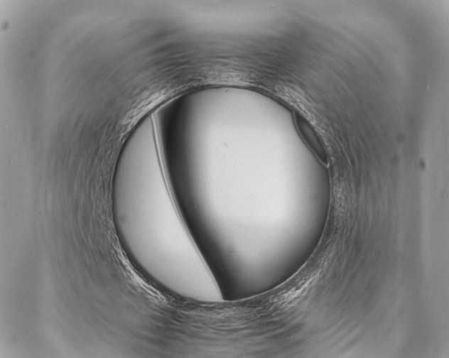 X0000086890433200704161010