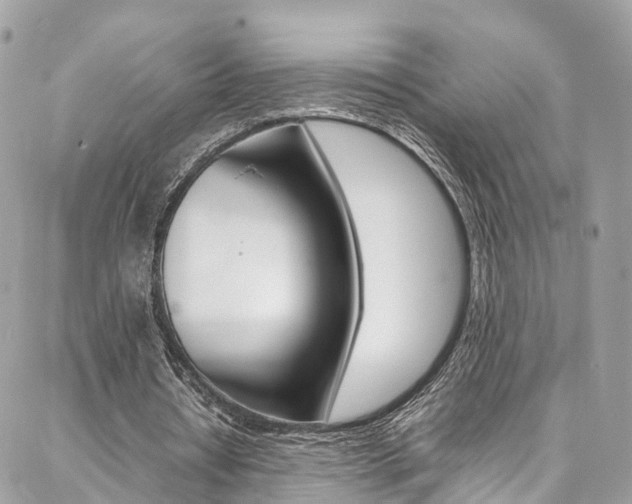 X0000086890434200704161010