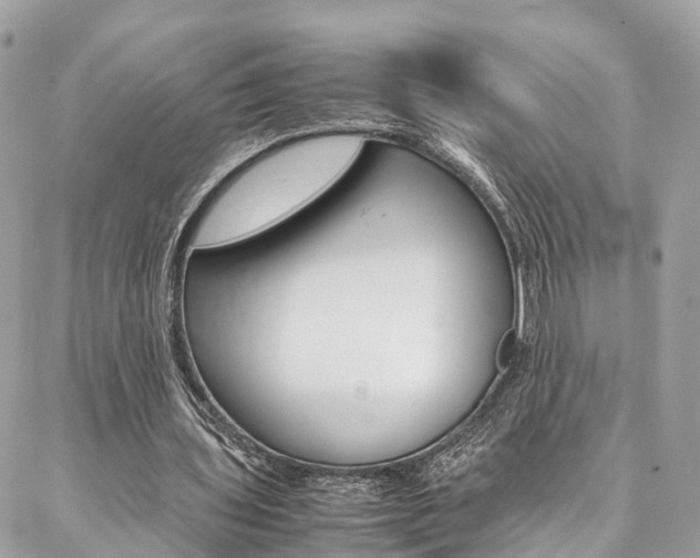 X0000086890435200704161010