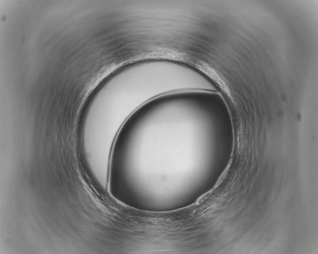 X0000086890436200704161010