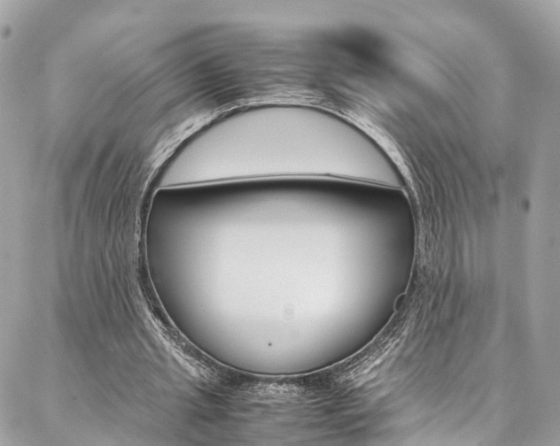 X0000086890437200704161010