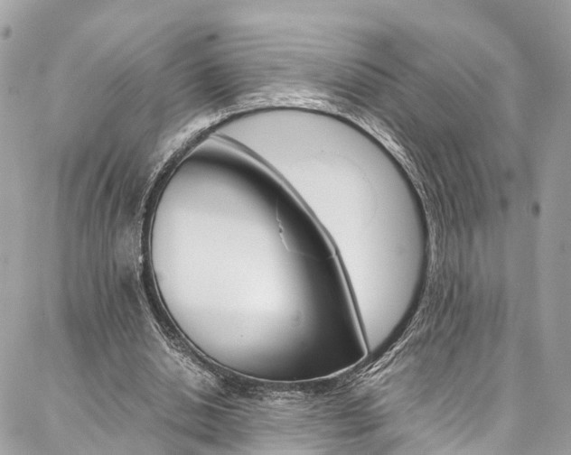 X0000086890438200704161010