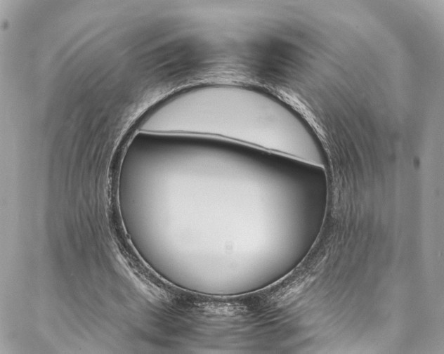 X0000086890439200704161010