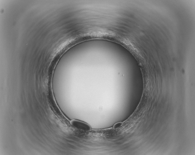 X0000086890440200704161010