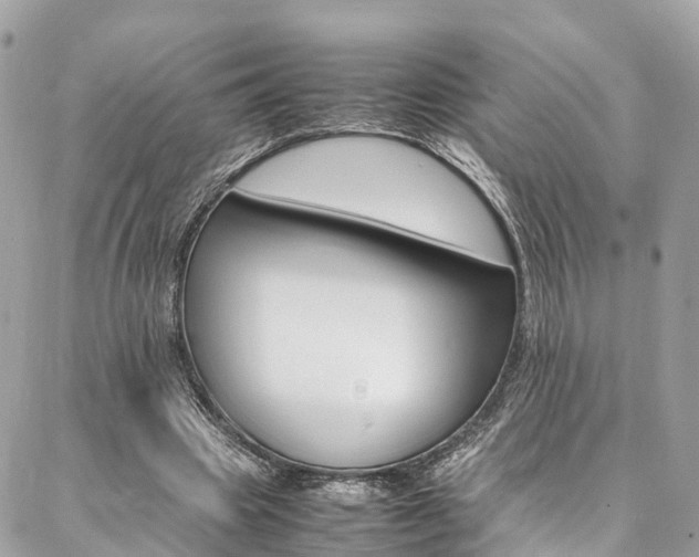 X0000086890441200704161010