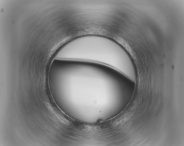 X0000086890442200704161010