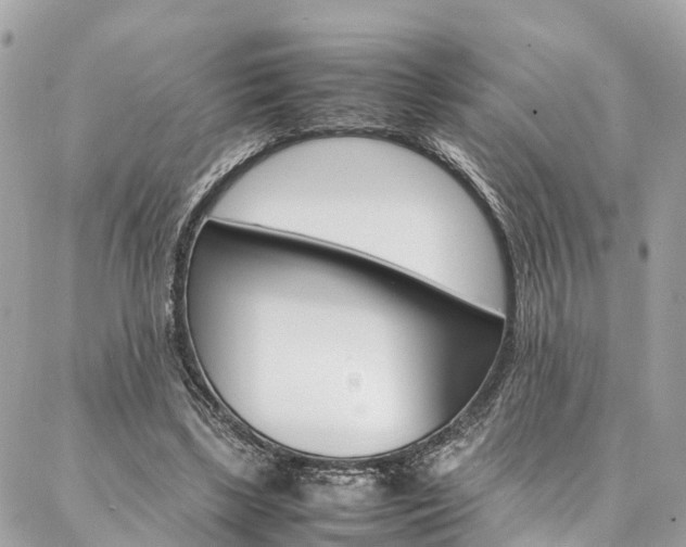 X0000086890443200704161010