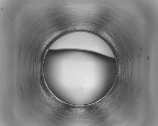 X0000086890444200704161010