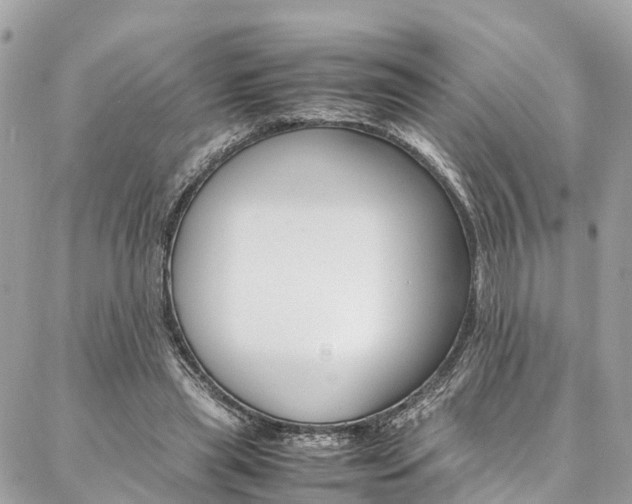 X0000086890445200704161010