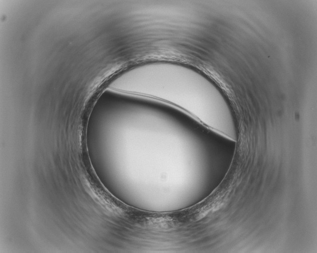 X0000086890446200704161010