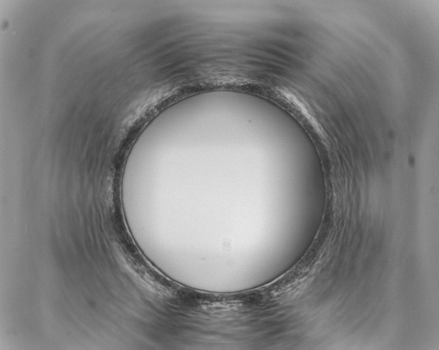 X0000086890447200704161010