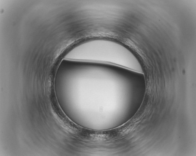 X0000086890448200704161010