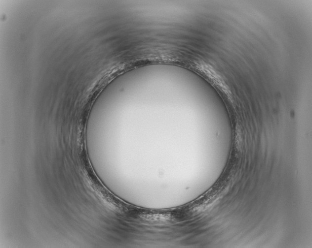 X0000086890449200704161010