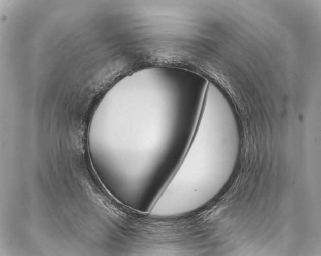 X0000086890450200704161010