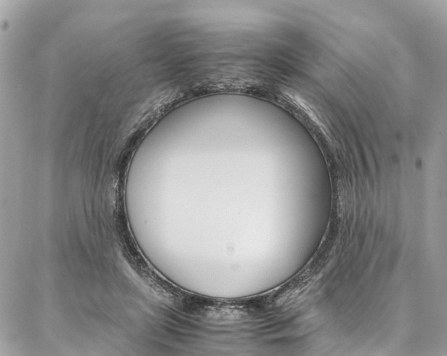 X0000086890451200704161010