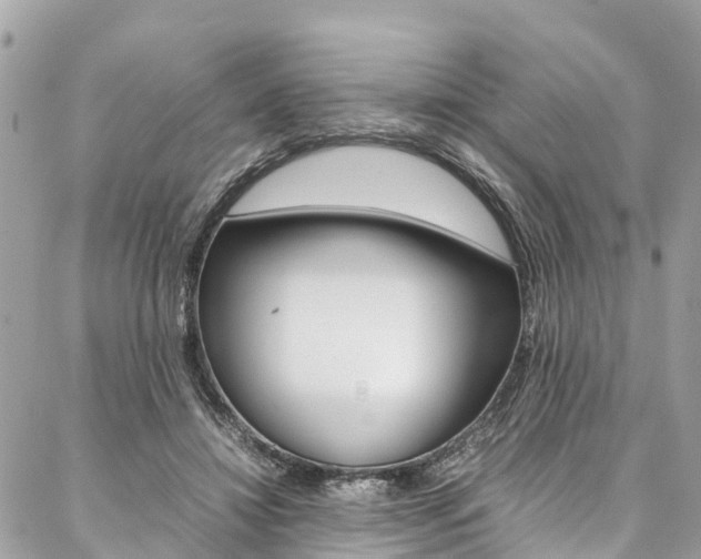 X0000086890452200704161010