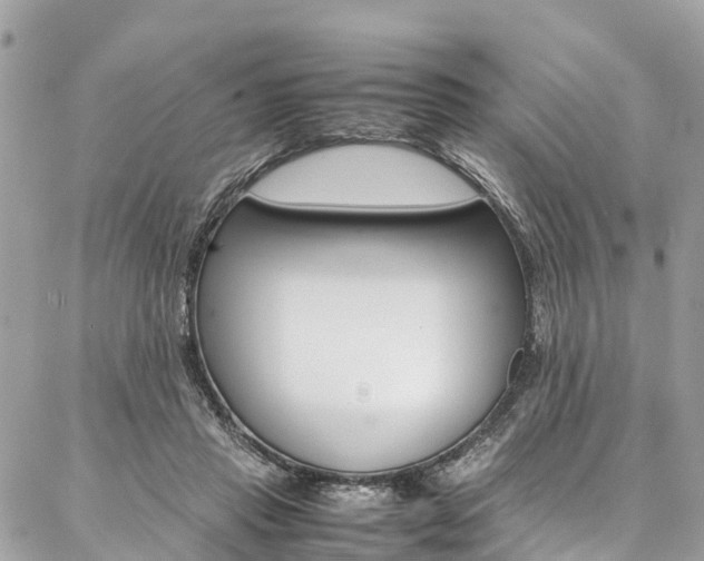 X0000086890453200704161010