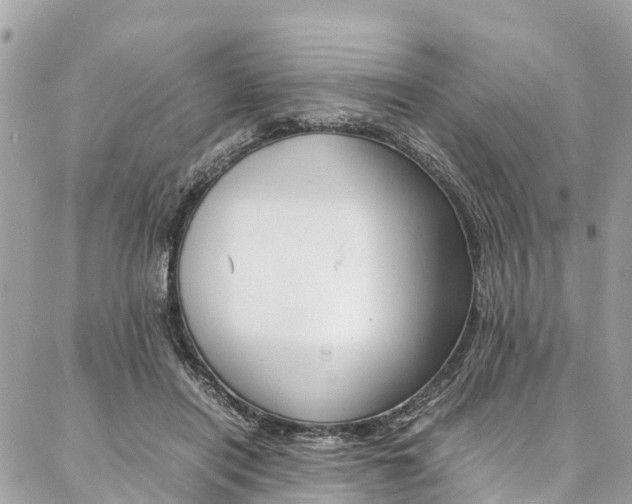 X0000086890454200704161010