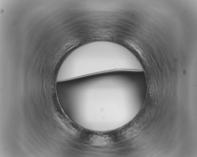 X0000086890455200704161010