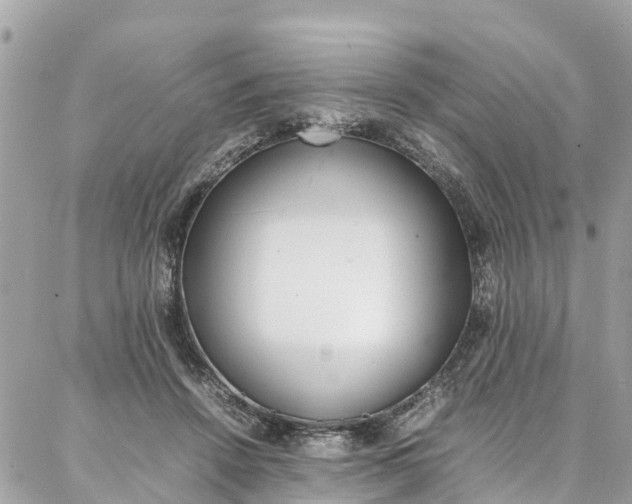 X0000086890456200704161010