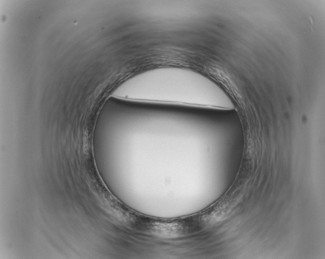 X0000086890457200704161010