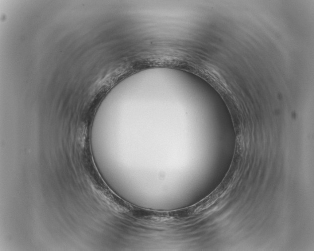 X0000086890458200704161010