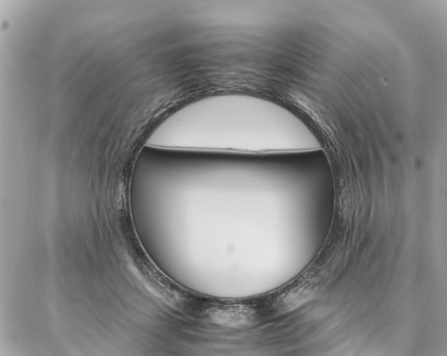 X0000086890459200704161010