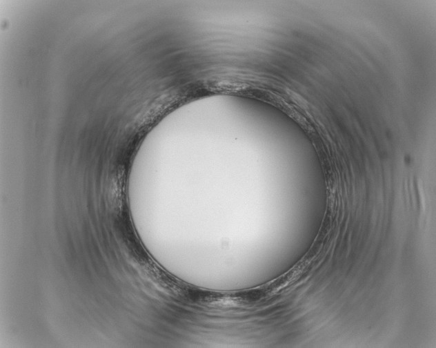 X0000086890460200704161010