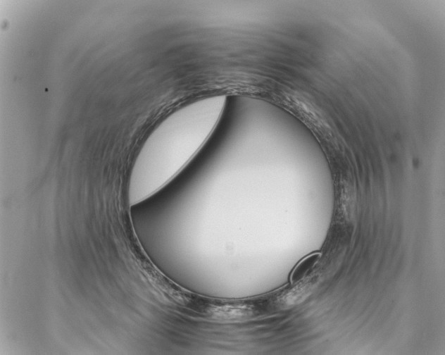 X0000086890461200704161010