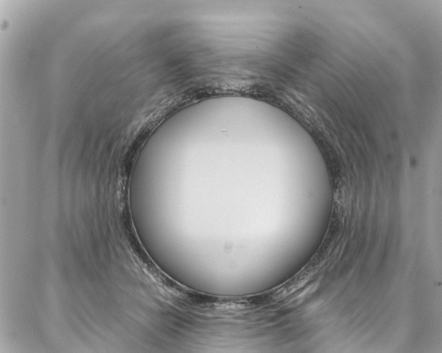 X0000086890462200704161010