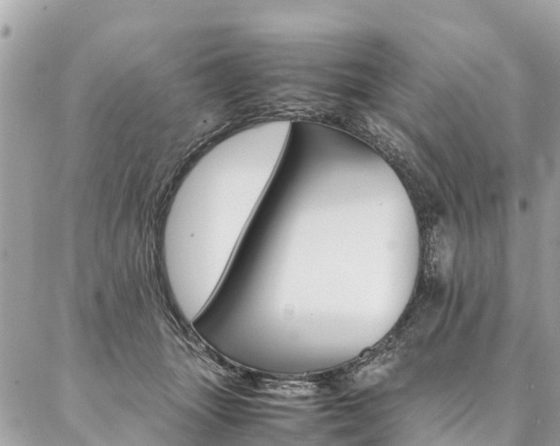 X0000086890463200704161010