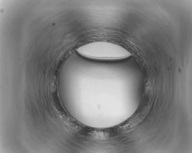 X0000086890464200704161010