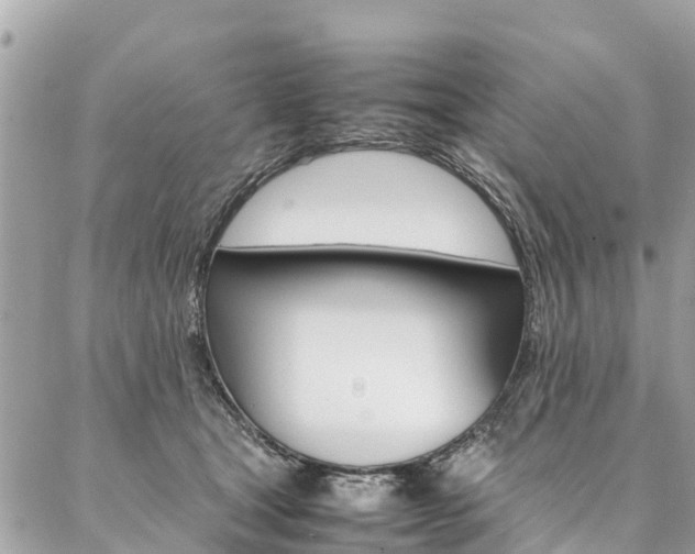 X0000086890465200704161010