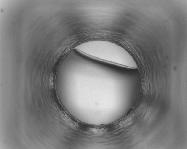 X0000086890466200704161010