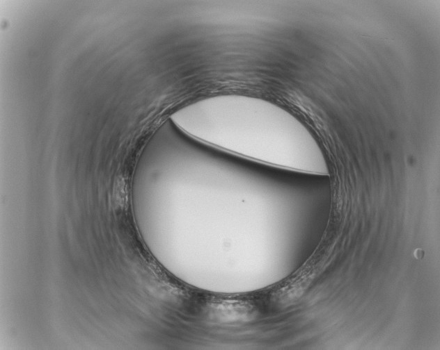 X0000086890467200704161010