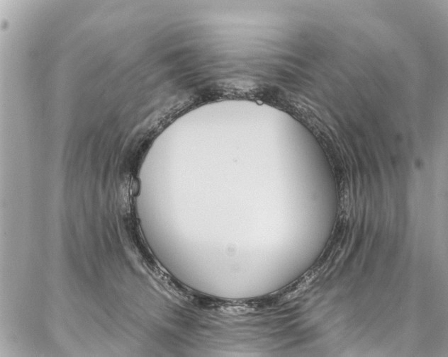 X0000086890468200704161010