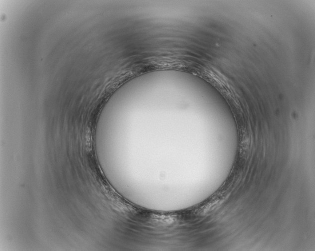 X0000086890469200704161010